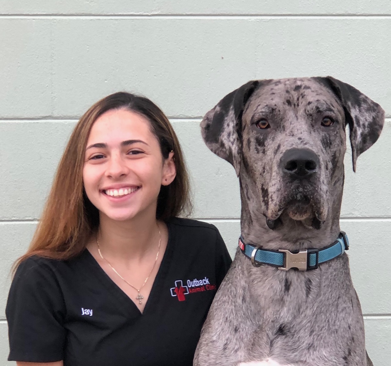 Woman sitting next to her black and gray Great Dane dog